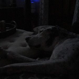 Meet your Posher, Raymond